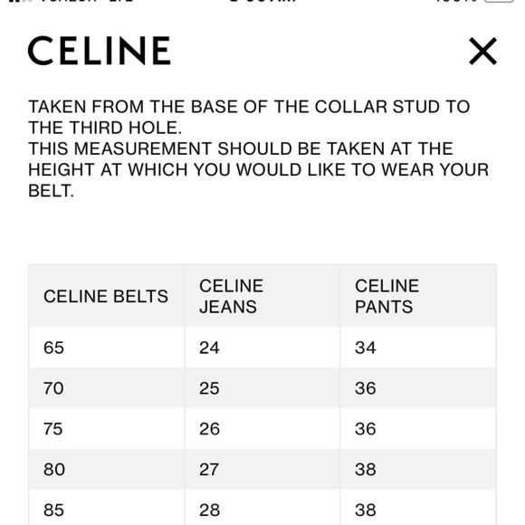 Celine Medium Triomphe Belt in Natural Calf Skin Size 75 - Picture 16 of 16
